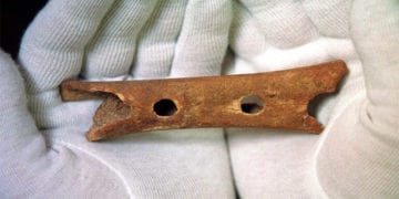 Divje Babe flute qha46x