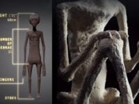 strange mummy nazca peru xvvn3w