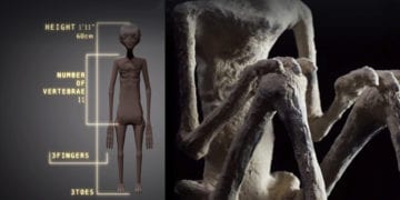 strange-mummy-nazca-peru_xvvn3w